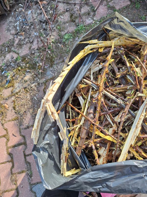 Revisione aperta modale 4 su 4