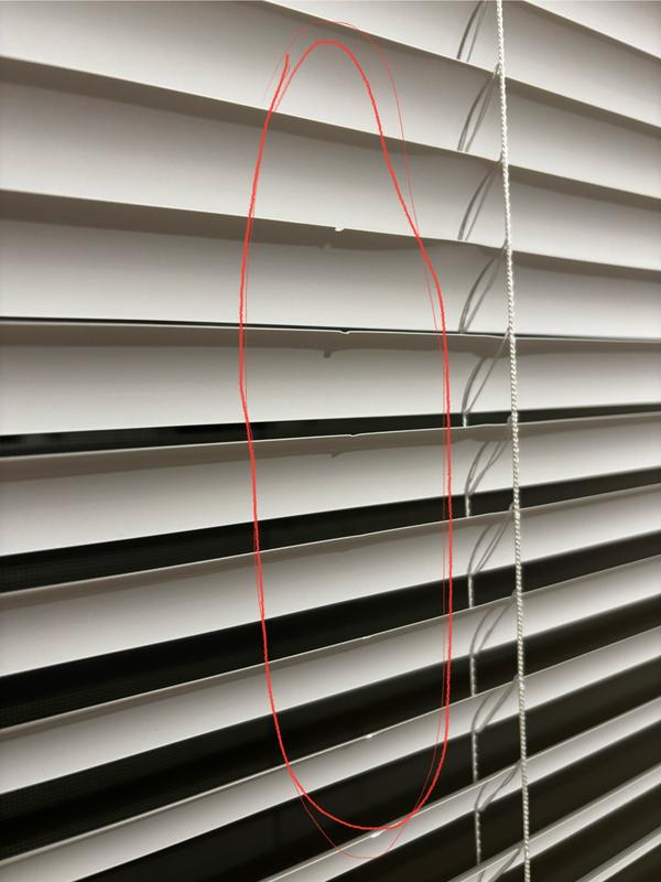 Ouvrir la fenêtre modale de l'avis 1 sur 1