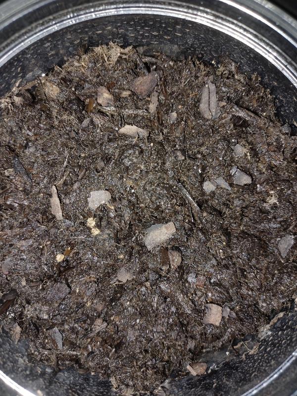 Otwórz okno opinii 1 na stronie 1