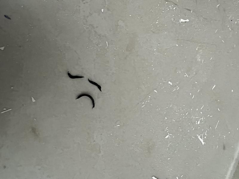 Otwórz okno opinii 1 na stronie 2