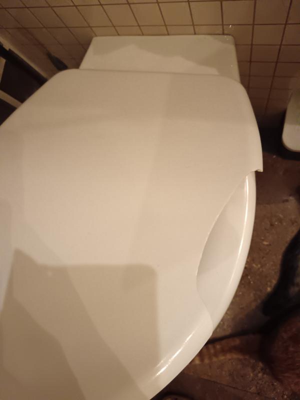 Otwórz okno opinii 1 na stronie 2