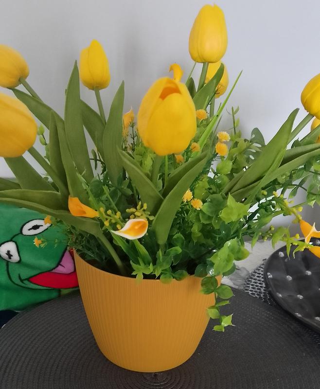 Otwórz okno opinii 1 na stronie 1