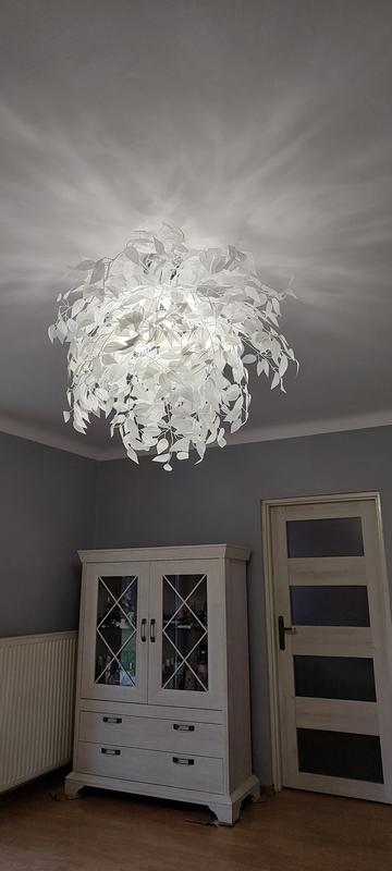 Otwórz okno opinii 1 na stronie 1