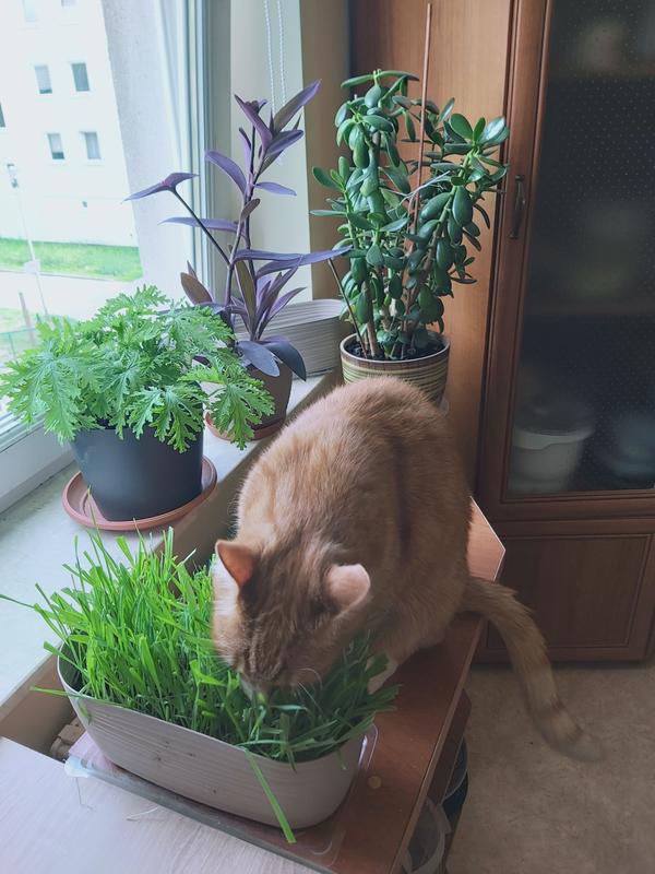 Otwórz okno opinii 1 na stronie 1