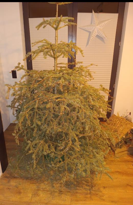 Otwórz okno opinii 1 na stronie 2