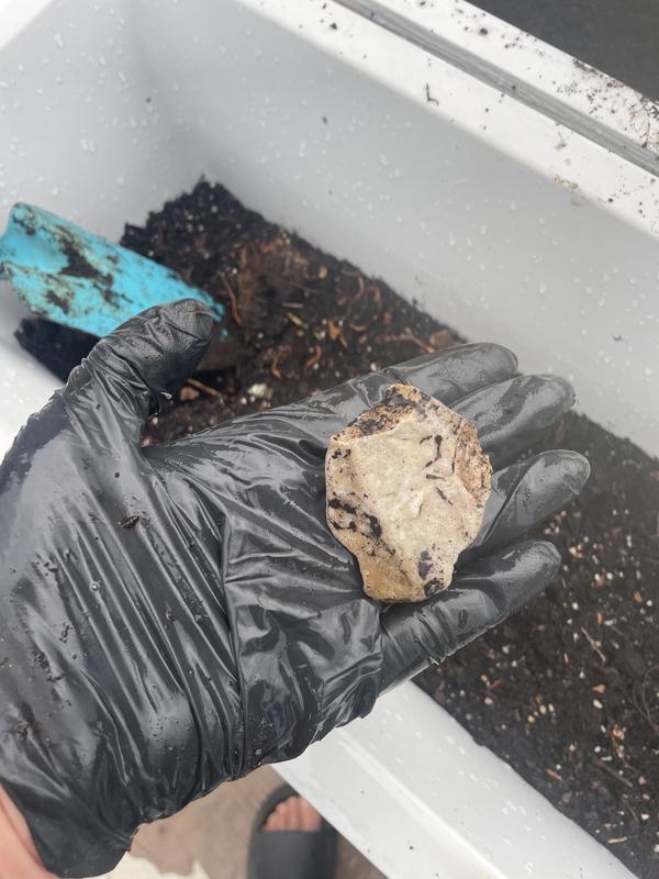 Otwórz okno opinii 1 na stronie 1