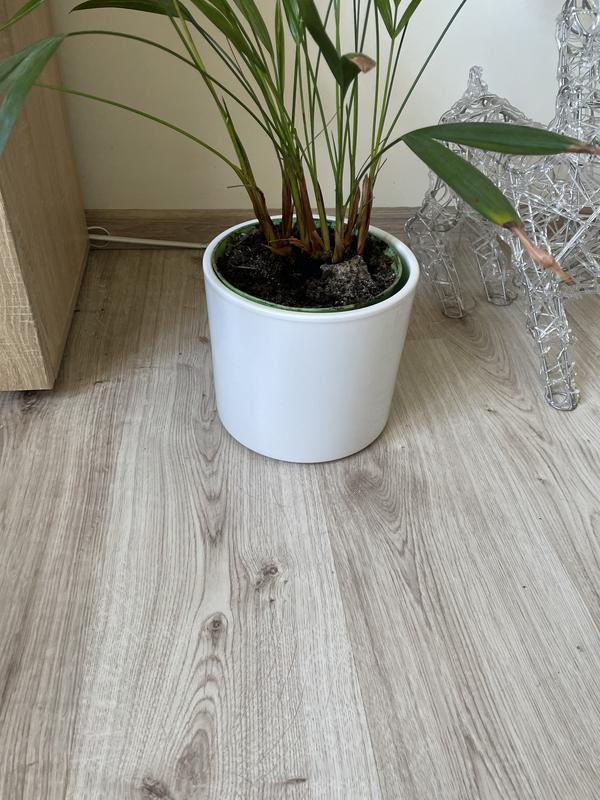 Otwórz okno opinii 1 na stronie 1