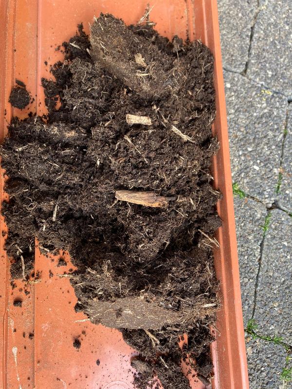 Otwórz okno opinii 1 na stronie 1