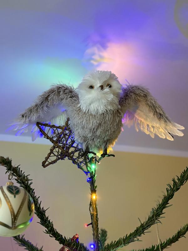 Otwórz okno opinii 1 na stronie 1