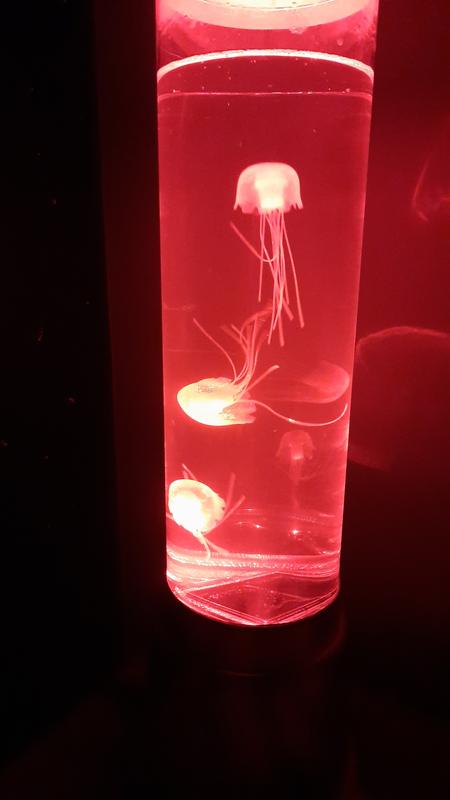 Otwórz okno opinii 4 na stronie 6