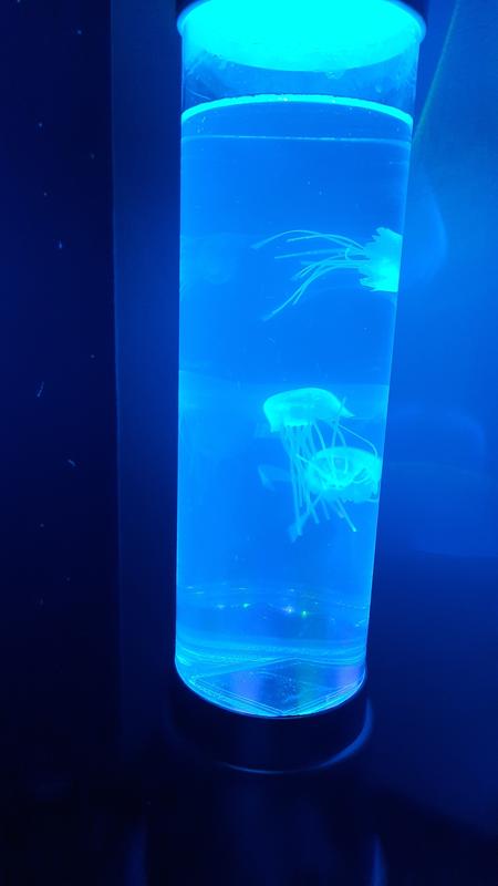 Otwórz okno opinii 1 na stronie 6