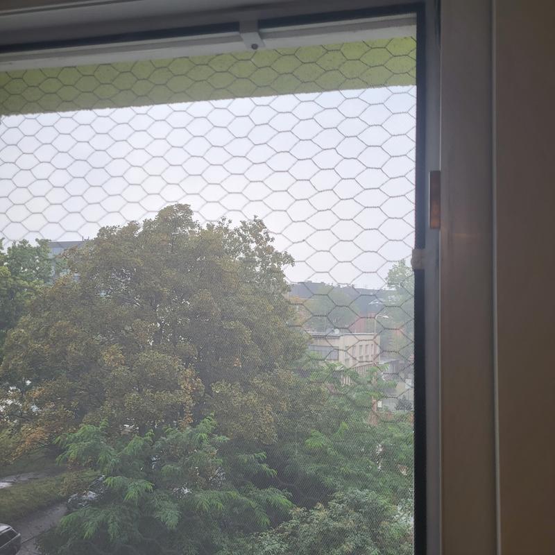 Ouvrir la fenêtre modale de l'avis 1 sur 1