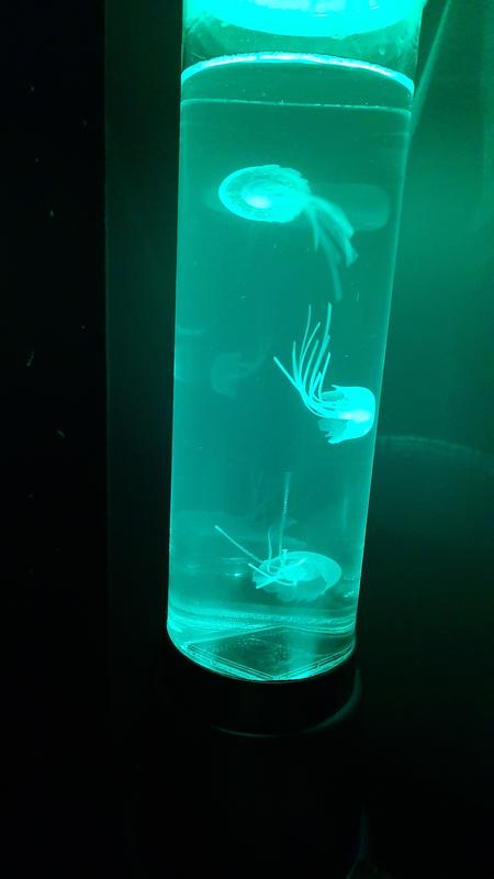 Otwórz okno opinii 2 na stronie 6