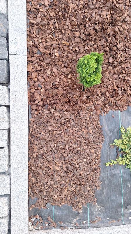 Otwórz okno opinii 2 na stronie 3