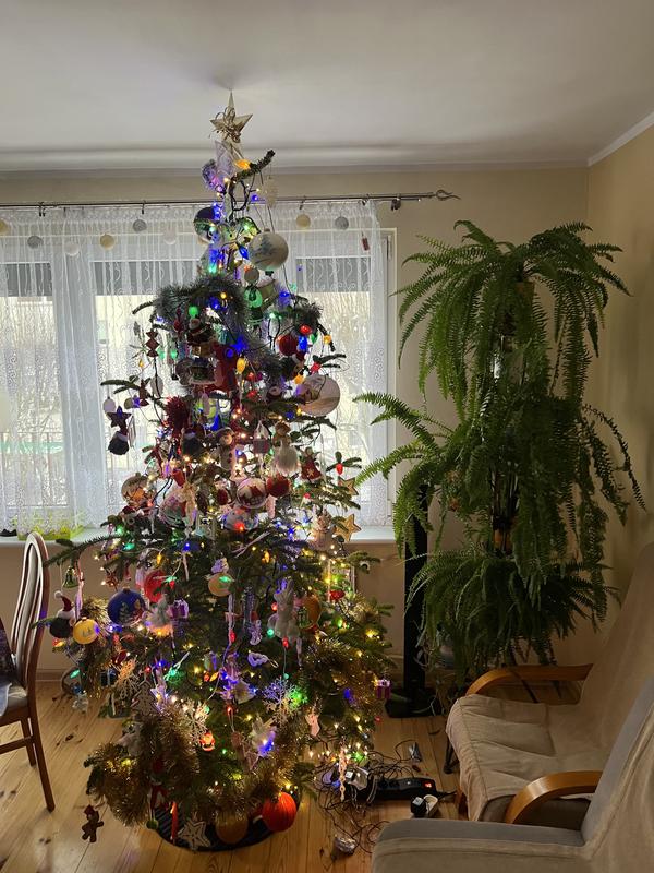 Otwórz okno opinii 1 na stronie 1