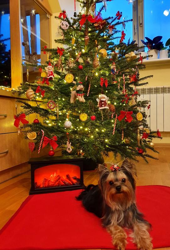 Otwórz okno opinii 1 na stronie 1