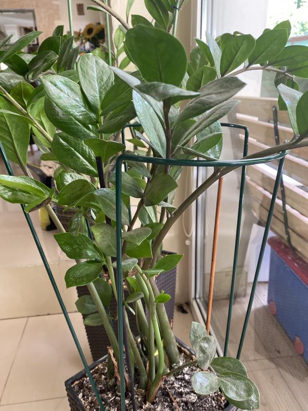 Otwórz okno opinii 1 na stronie 1