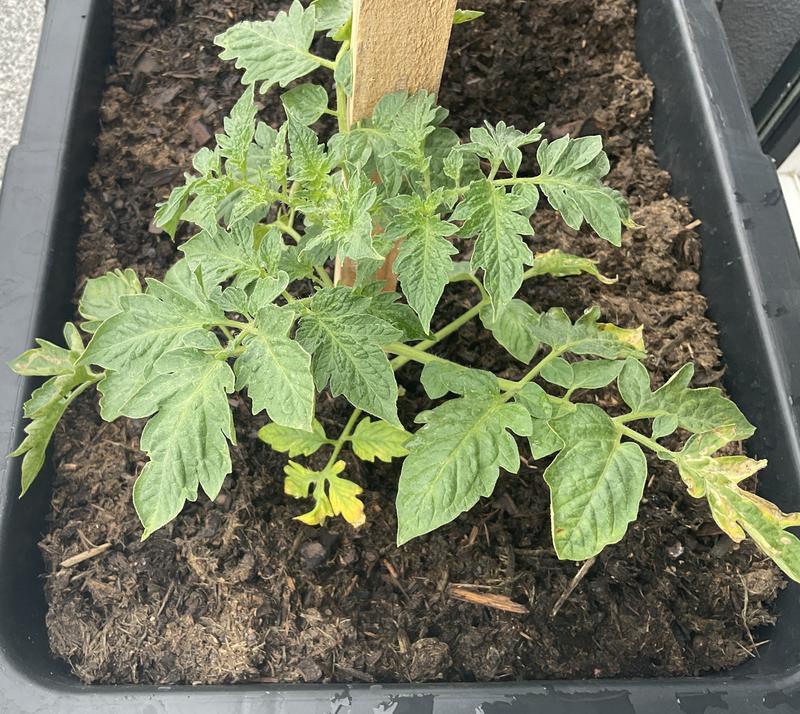 Otwórz okno opinii 1 na stronie 1