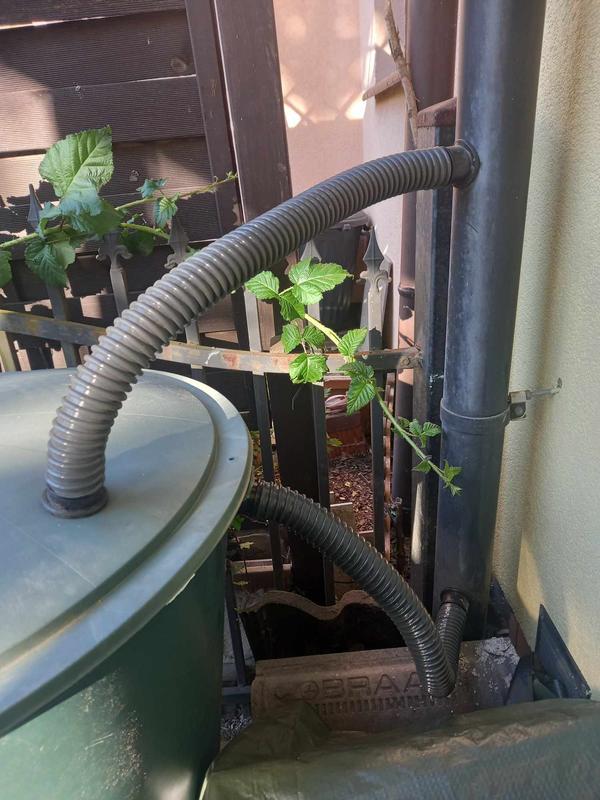 Otwórz okno opinii 1 na stronie 1