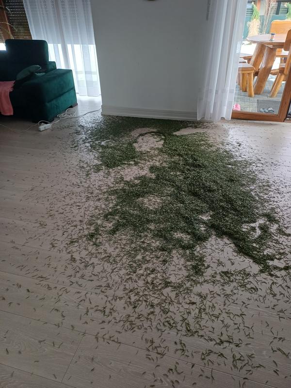 Otwórz okno opinii 1 na stronie 1