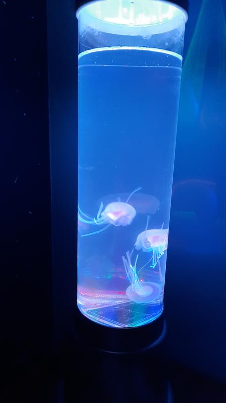 Otwórz okno opinii 3 na stronie 6