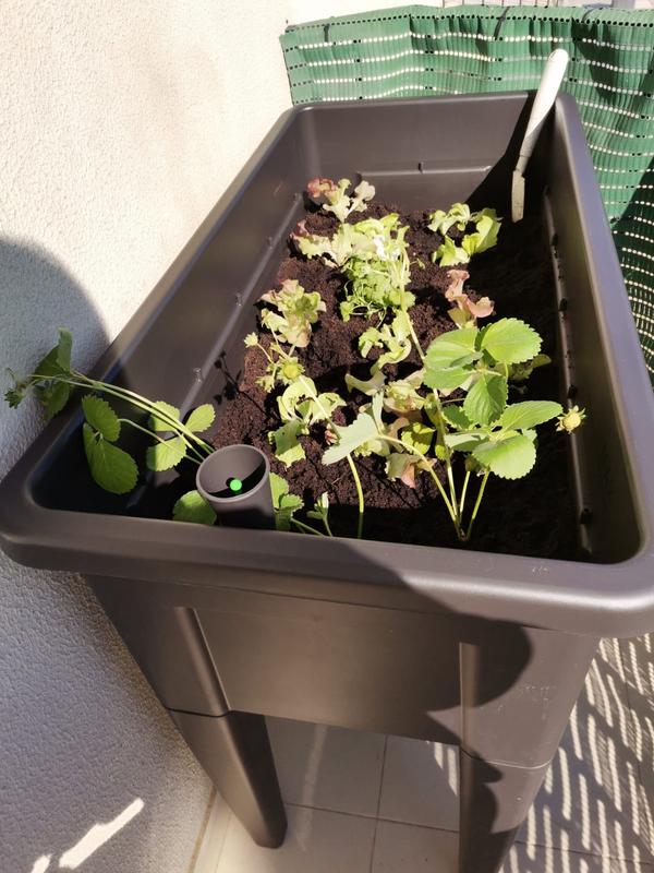 Abrir modal de revisión 1 de 1