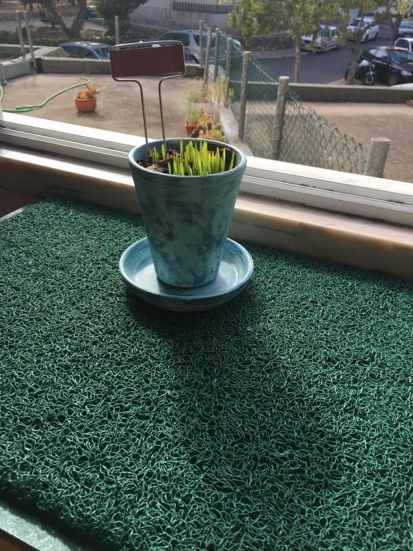 Abra o modal de avaliação 2 de 2