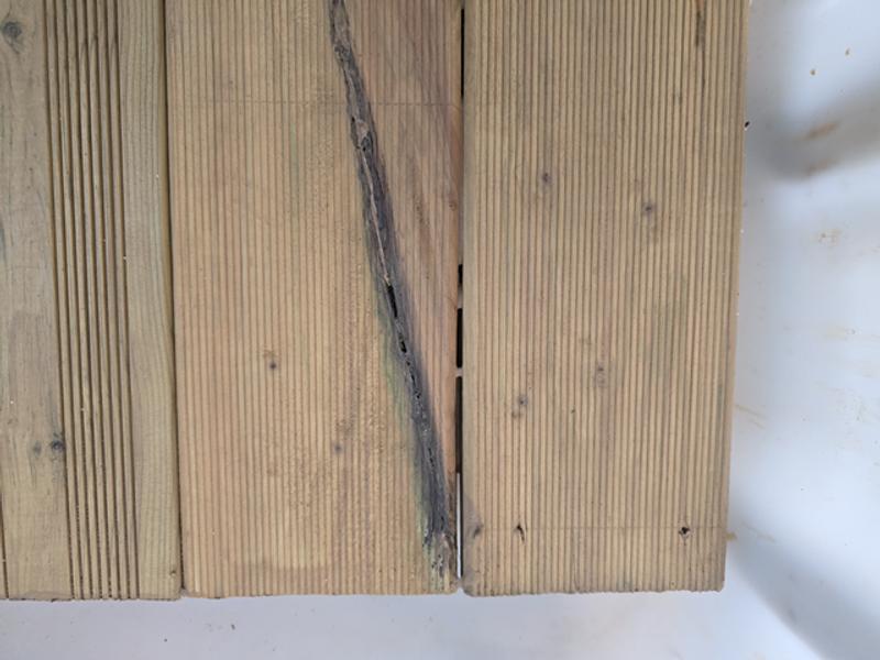 Abrir modal de revisión 4 de 4