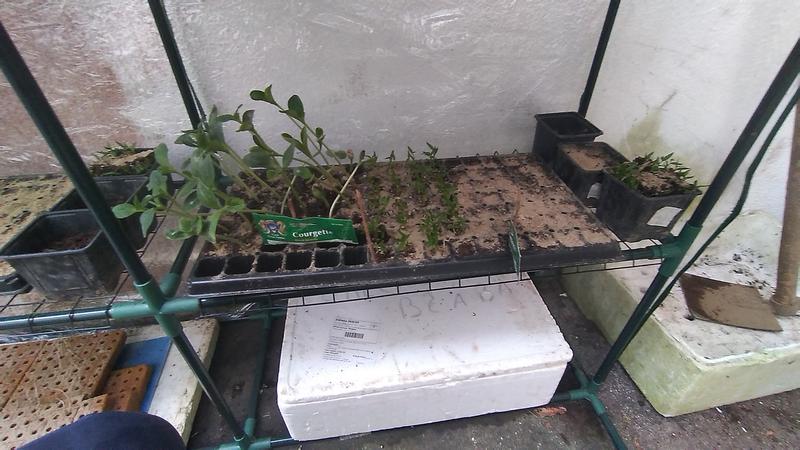 Abra o modal de avaliação 1 de 6