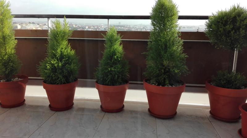 Abra o modal de avaliação 1 de 1