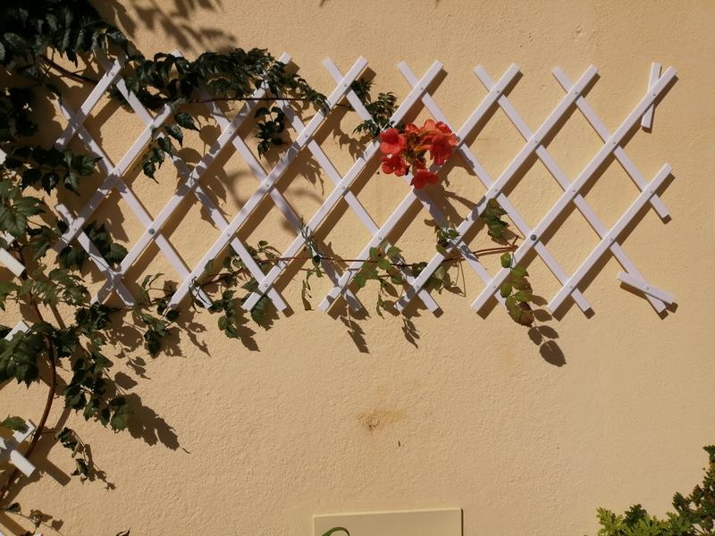 Abra o modal de avaliação 1 de 1