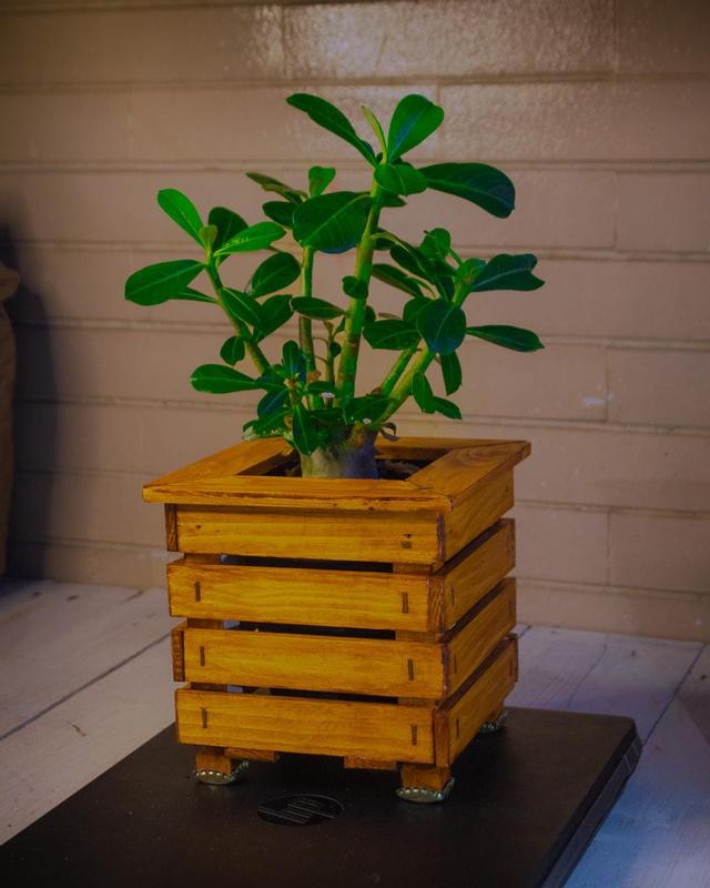 Abra o modal de avaliação 2 de 2