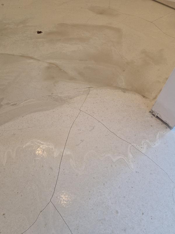 Abrir modal de revisión 6 de 6