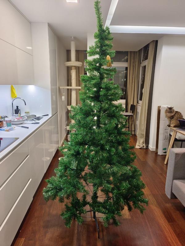 Abrir modal de revisión 4 de 6