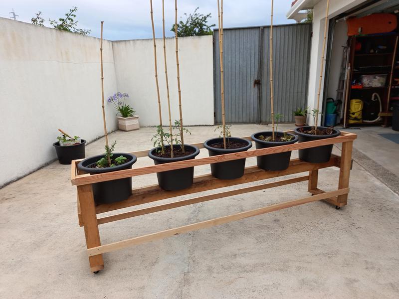 Abra o modal de avaliação 1 de 1