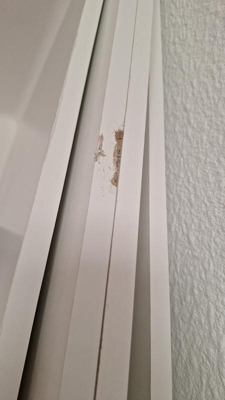 Abra o modal de avaliação 1 de 5