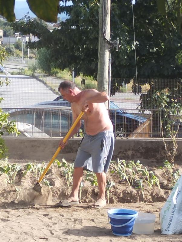 Abra o modal de avaliação 1 de 1