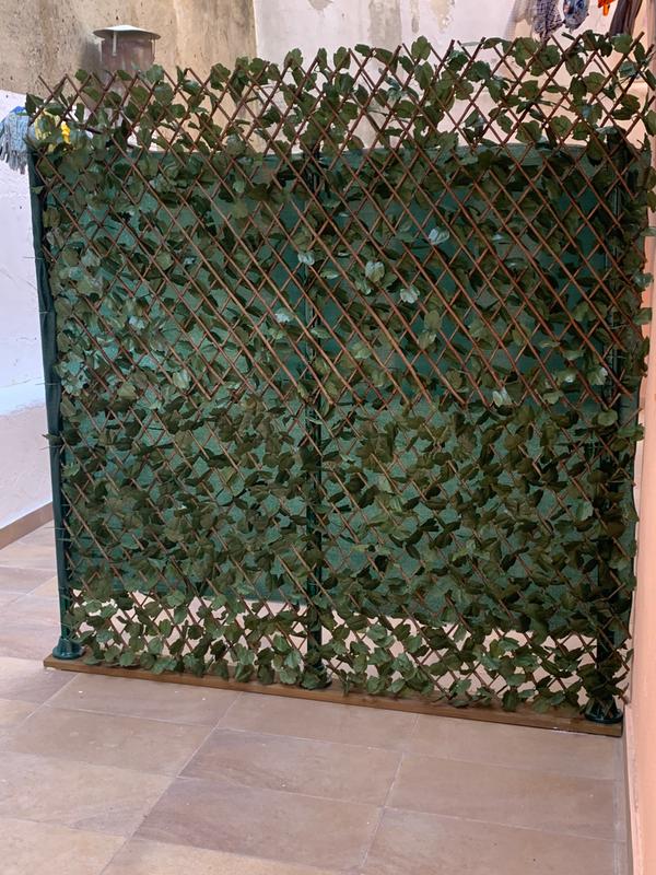 Abrir modal de revisión 1 de 1