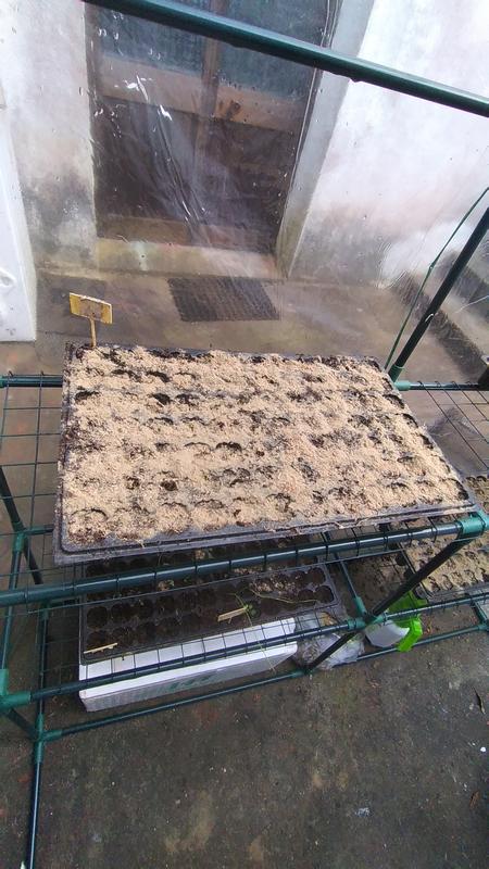 Abra o modal de avaliação 4 de 6