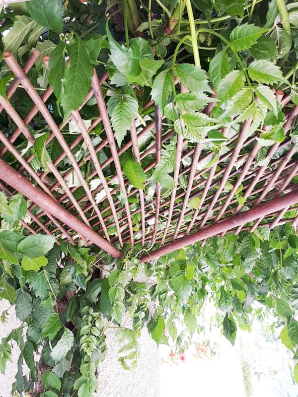 Abra o modal de avaliação 1 de 1