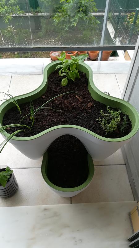 Abra o modal de avaliação 1 de 1