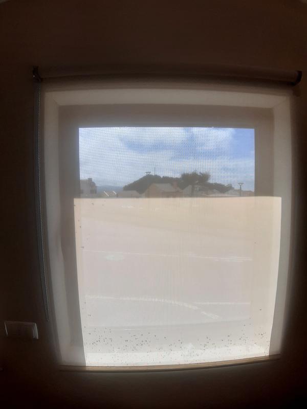 Abrir modal de revisión 1 de 1