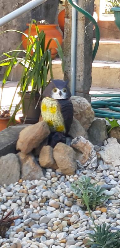 Abra o modal de avaliação 1 de 1