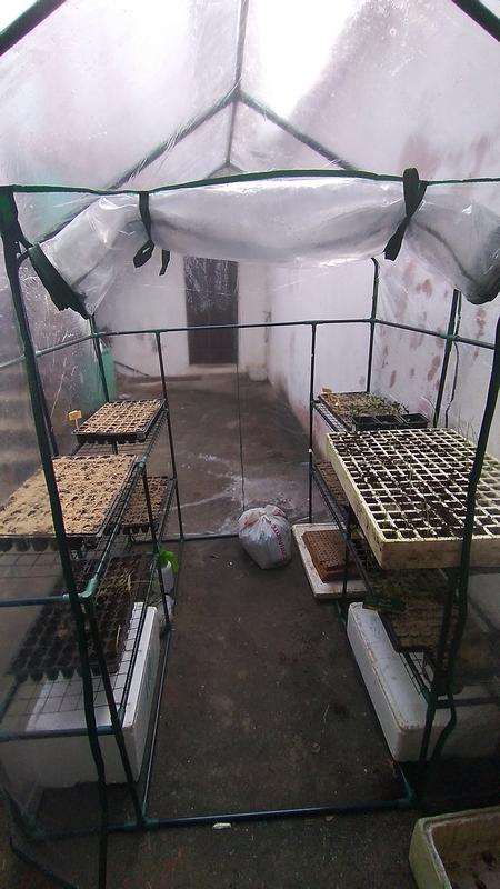 Abra o modal de avaliação 6 de 6