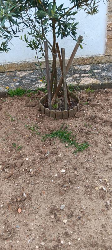 Abra o modal de avaliação 1 de 1