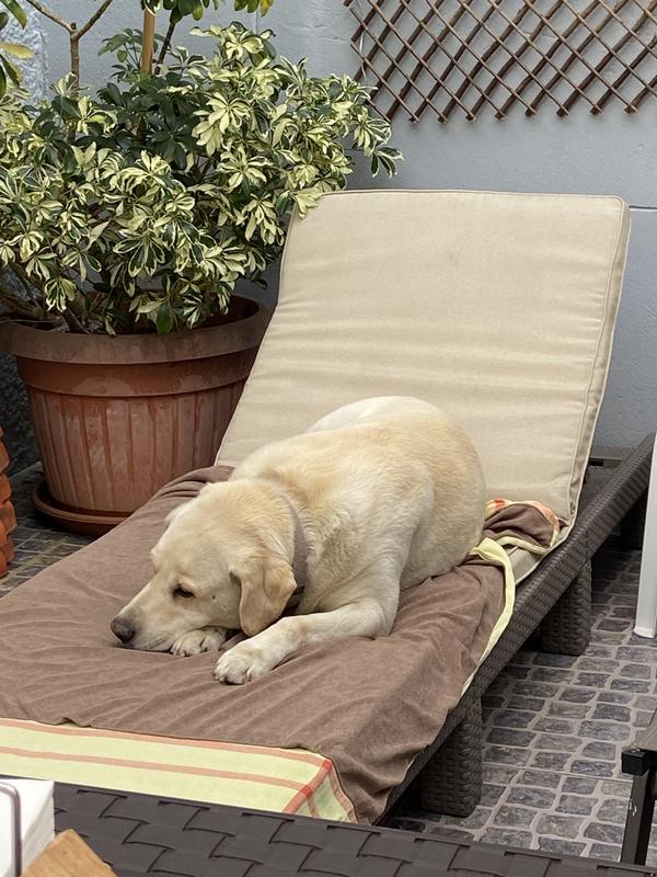 Abra o modal de avaliação 1 de 1