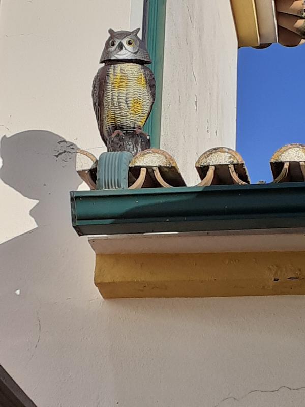 Abra o modal de avaliação 1 de 1