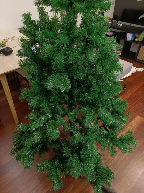 Abrir modal de revisión 6 de 6