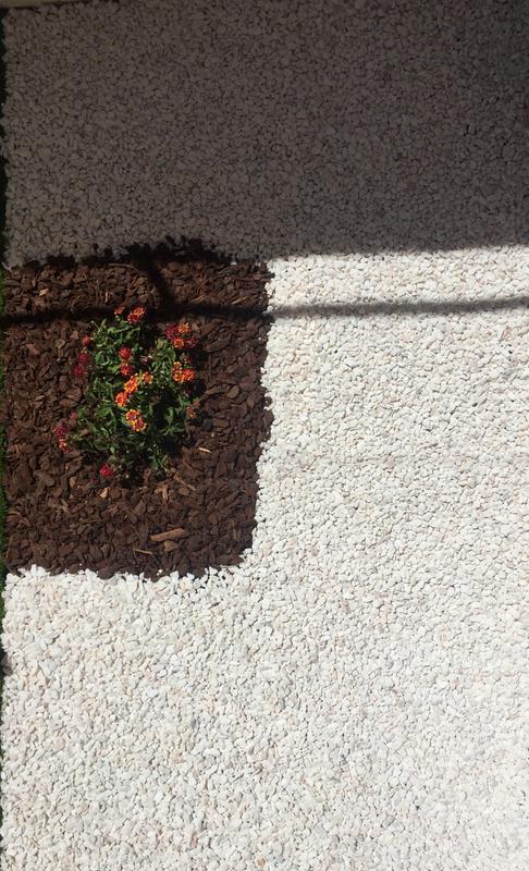 Abra o modal de avaliação 1 de 1