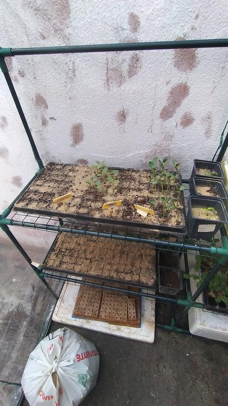 Abra o modal de avaliação 3 de 6